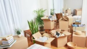 Packers and Movers Aundh