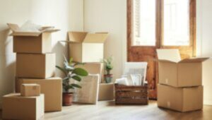 Packers and Movers Hadapsar