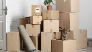 Packers and Movers Karve Nagar