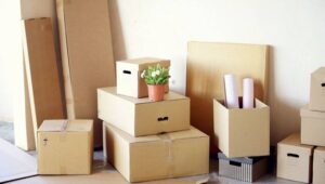 Packers and Movers Koregaon Park