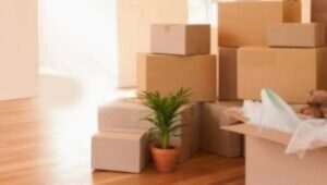 Packers and Movers Mundhwa