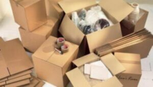 Packers and Movers Narayan Peth