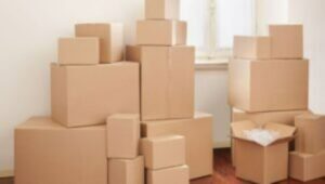 Packers and Movers Bibvewadi